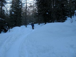 Nel bosco oltre Mascognaz