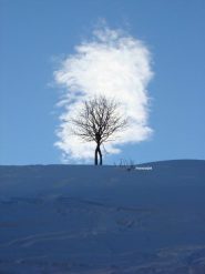 suggestione montana