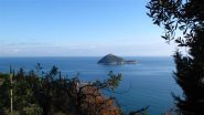 Isola Gallinara e macchia mediterranea