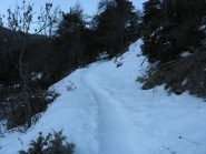 la traccia appena abbandonata la stradina