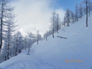 scheletri in mezzo al nulla...(foto Stefano Bonino)
