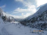 paesaggio verso valle (foto di Stefano Bonino)