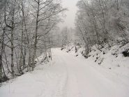 Galaverna salendo