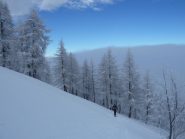finalmente fuori dalla nebbia