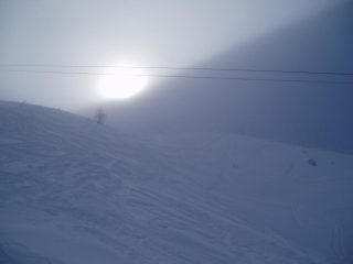 nella nebbia