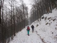 nel bosco