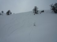 bella neve