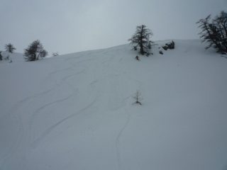 bella neve