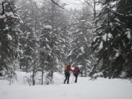 Lapponia!