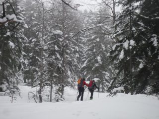 Lapponia!