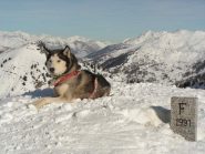 Uky in cima