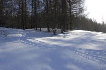 Che sorpresa sta farina vergine.. !