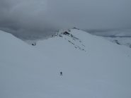 Tete de plate Longe alle spalle