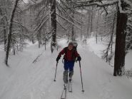 Alby in mezzo al bosco