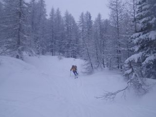 Discesa sottola nevicata