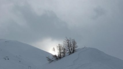 Qualche squarcio