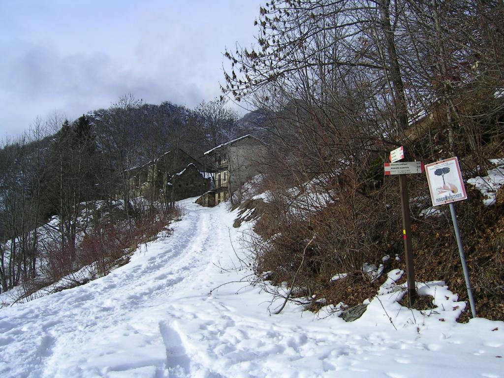 2^palina con gruppo case