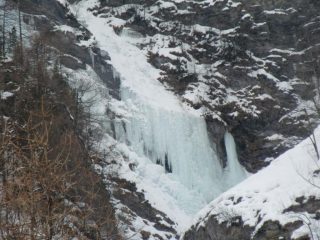 Pineta nord parte alta