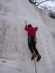Sulla linea centrale della Corazza di Nosferatu