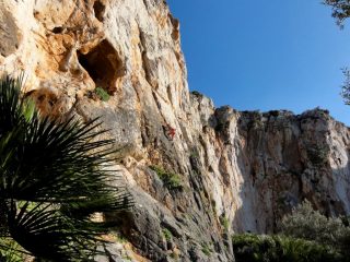 settore Campeggio