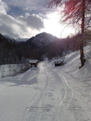 la pista di fondo