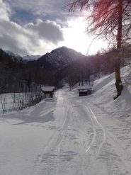 la pista di fondo