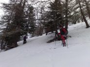 in discesa nel bosco