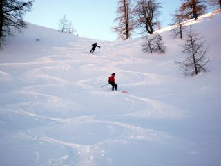 nel bosco...sempre farina!