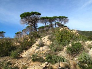 Sul crinale di salita