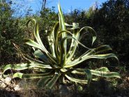 Lungo la via Julia Augusta