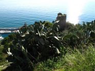 Dal belvedere di S. Croce