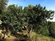 Lungo la via Julia Augusta