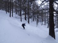 Lory nel bosco da libidine