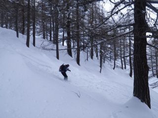 Lory nel bosco da libidine