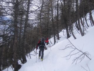 il tratto iniziale si svolge in un folto bosco, ben sciabile 