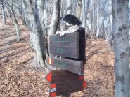 Jolie al colle della Bessa