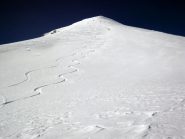 subito bella farinella