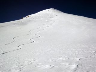 subito bella farinella