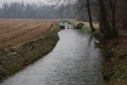 La campagna novarese con il ramo della Roggia Molinara
