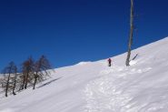 Diagonale finale