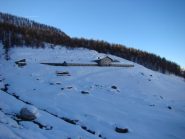 alpe Foresus