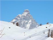 vista sul Cervino