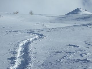 In discesa migliora il tempo......