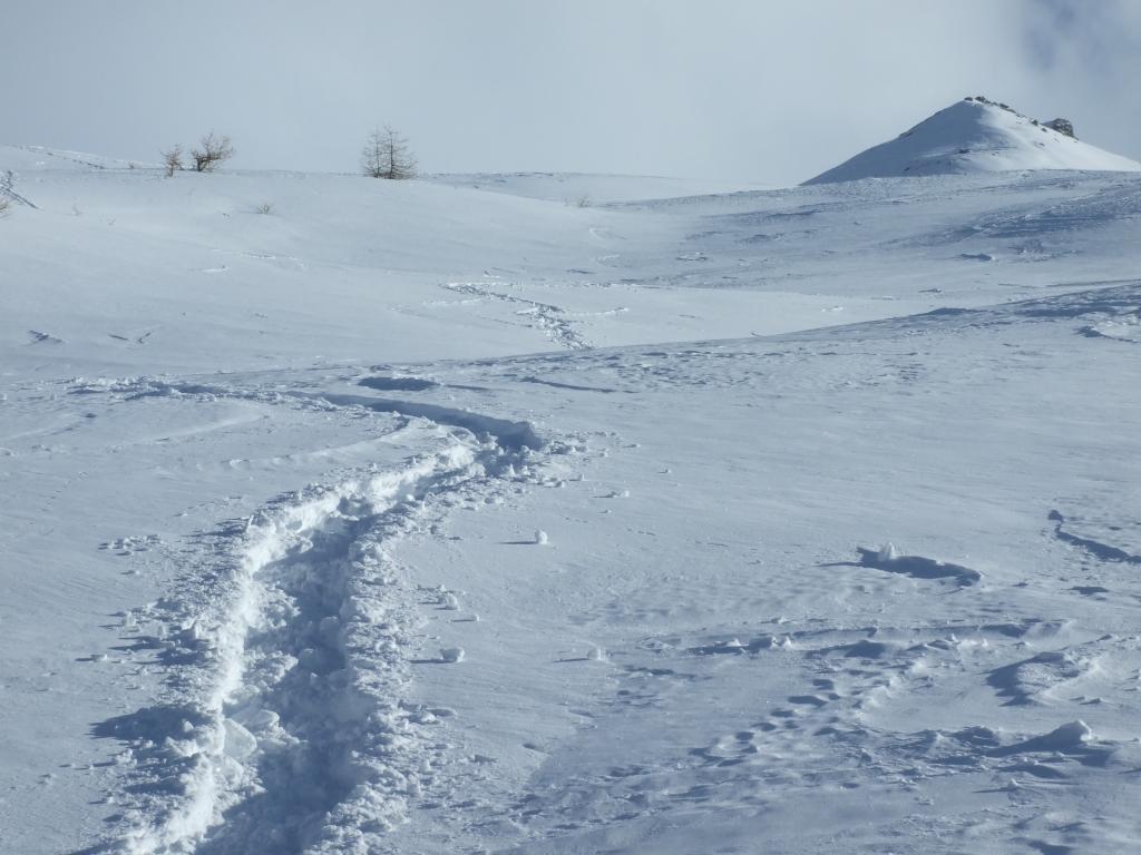 In discesa migliora il tempo......