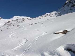 farina generosa
