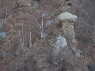 uno dei ciciu di vesolo