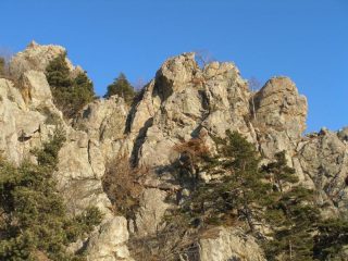 camino Richetto