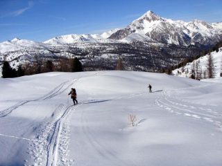 sui pendi superiori verso il il col Begino