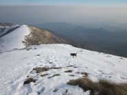 Discesa lungo la cresta SE