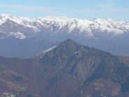 Uia di Calcante pulita e gruppo Rosa sullo sfondo
